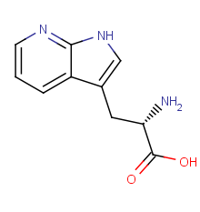 L-7-AZATRYPTOPHAN