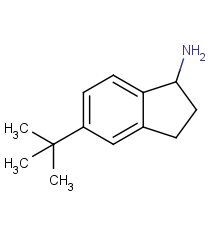 5-(tert-butyl)-2,3-dihydro-1H-inden-1-amine