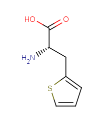 L-2-thienylalanine