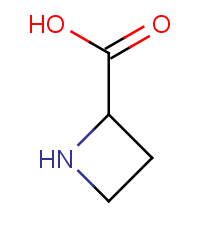 Azetidine-2-carboxylic Acid