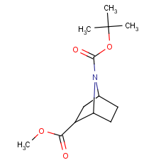 7-o-tert-butyl 3-o-methyl 7-azabicyclo[2.2.1]heptane-3,7-dicarboxylate